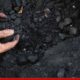 Coal-Crisis-in-India-Marksmen-Daily