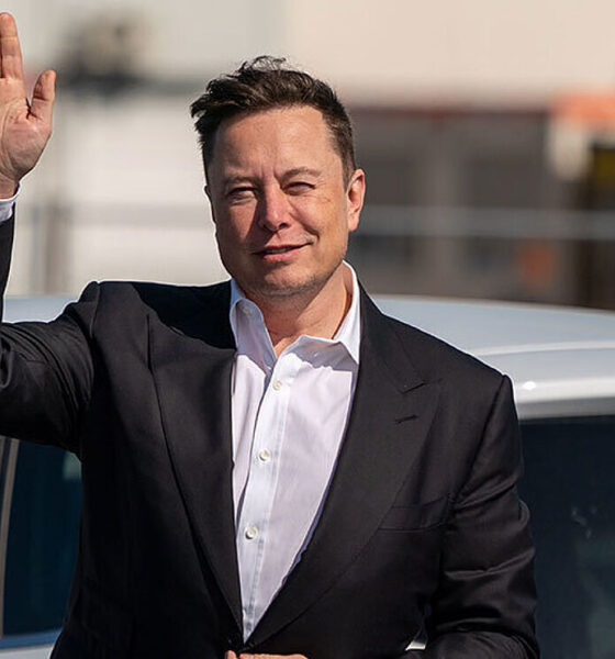 How-musk-invaded-taxes-Marksmen-Daily