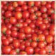 22733_Red20Gold20Tomatoes20Delicious-kg6tH7