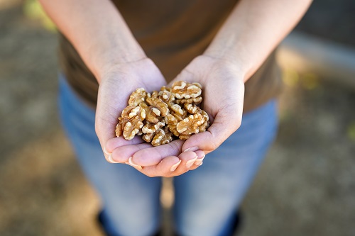 23701_A-handful-of-walnuts-T5NDBm