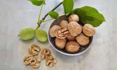 California Walnuts: A Timeless Icon of Taste and Tradition Arrives in India