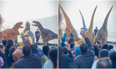 Dinosaur Dance-off: 'Jurassicpura' Bhangra Goes Viral in Islamabad