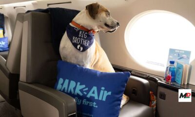 Bark Air puts the ‘wow’ in bow-wow
