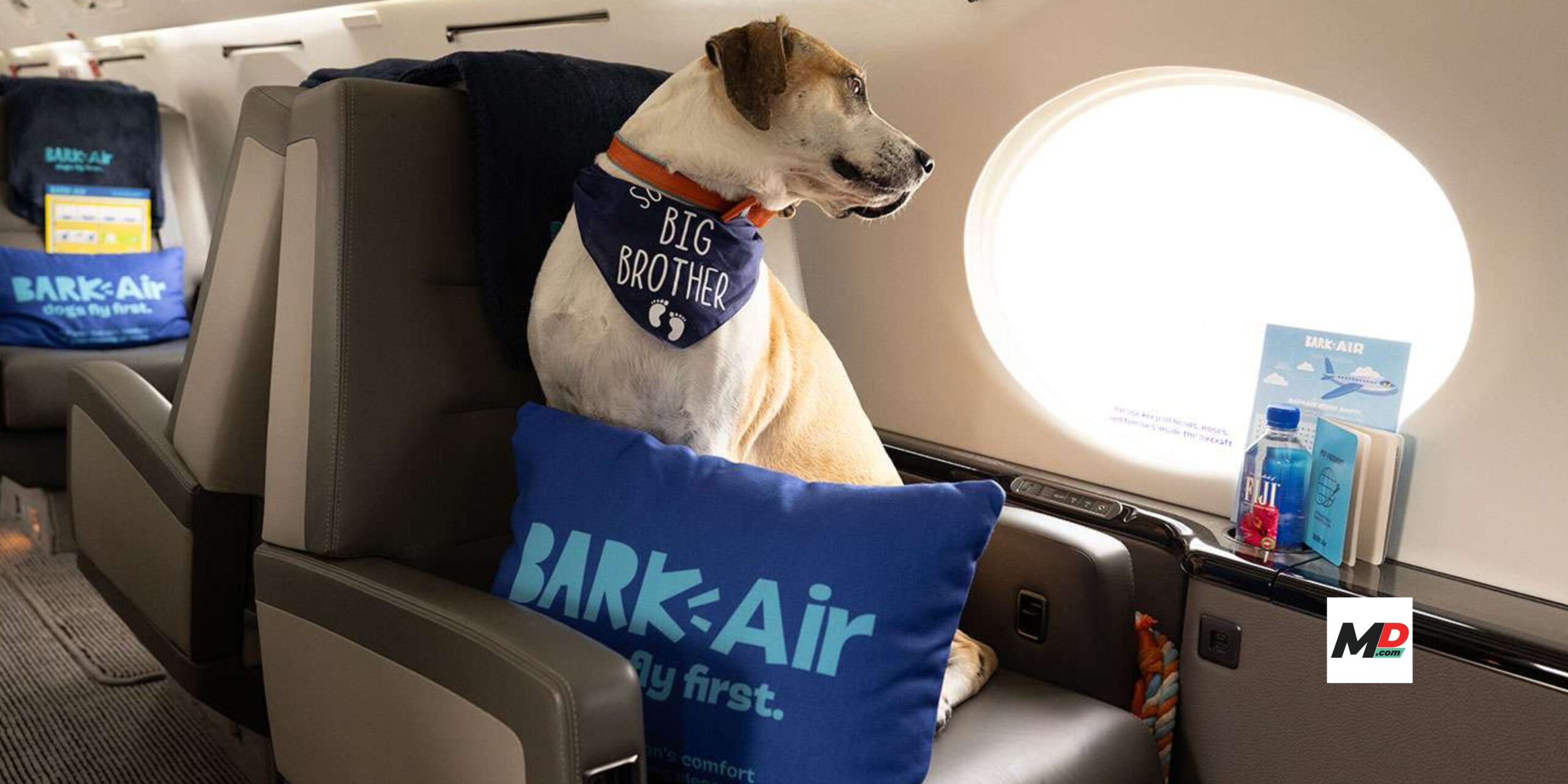 Bark Air puts the ‘wow’ in bow-wow