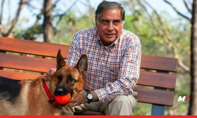 Ratan Tata's Will: A legacy of Care for ‘Tito’, his butler Subbaiah, and more