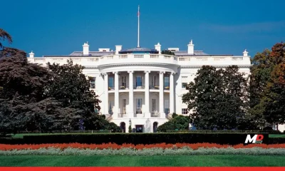 US Elections 2024: Political Experts Prediction the Next President