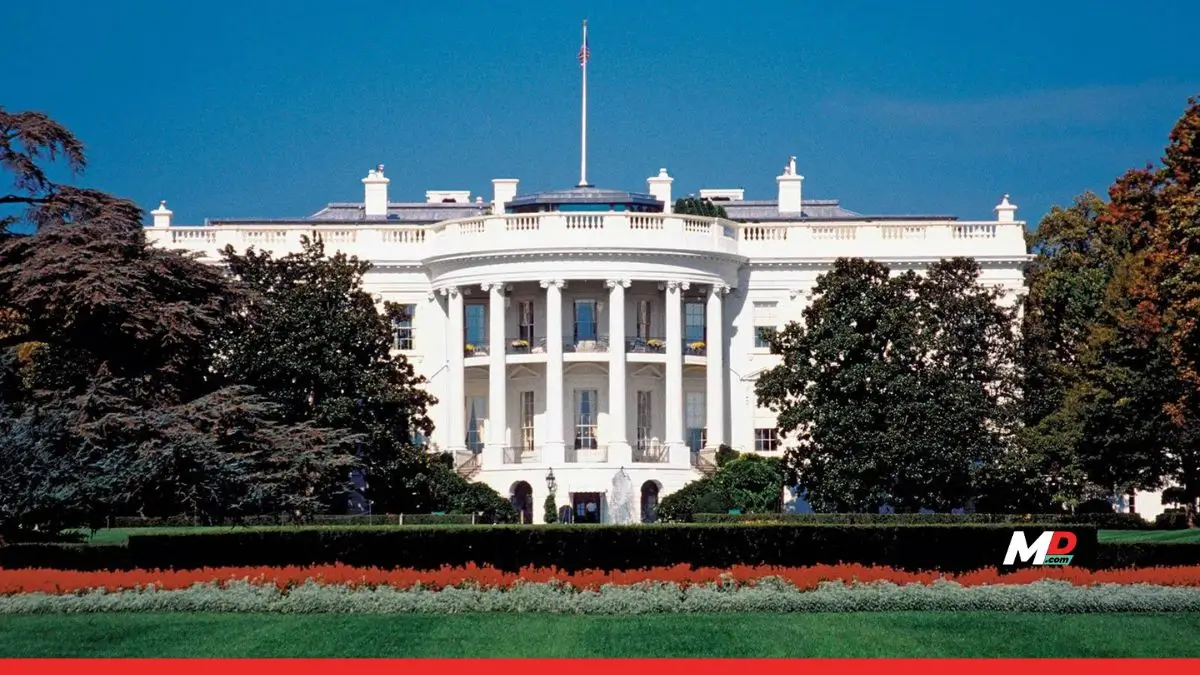 US Elections 2024: Political Experts Prediction the Next President