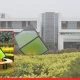 DS Group Leads the Way in Environmental Innovation with India’s First Outdoor Liquid Tree