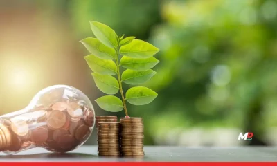 ‘Top Green Finance Platforms Driving the Green Revolution in India in 2024’