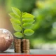 ‘Top Green Finance Platforms Driving the Green Revolution in India in 2024’