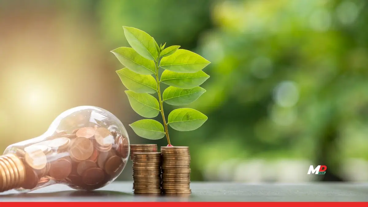 ‘Top Green Finance Platforms Driving the Green Revolution in India in 2024’