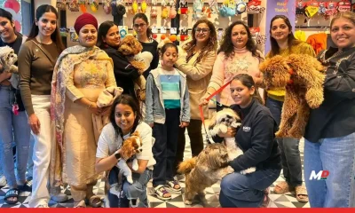 Zigly’s ‘Pawfect Valentine’ Celebrates Pet Love Across India