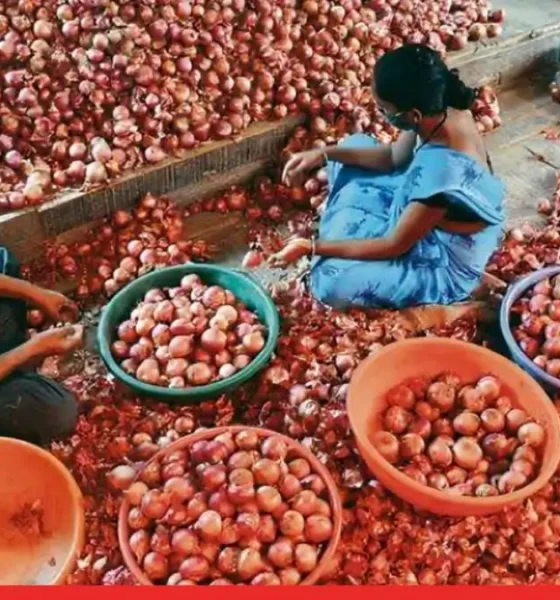 India to Lift 20% Export Duty on Onions from April 1