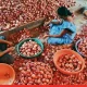 India to Lift 20% Export Duty on Onions from April 1