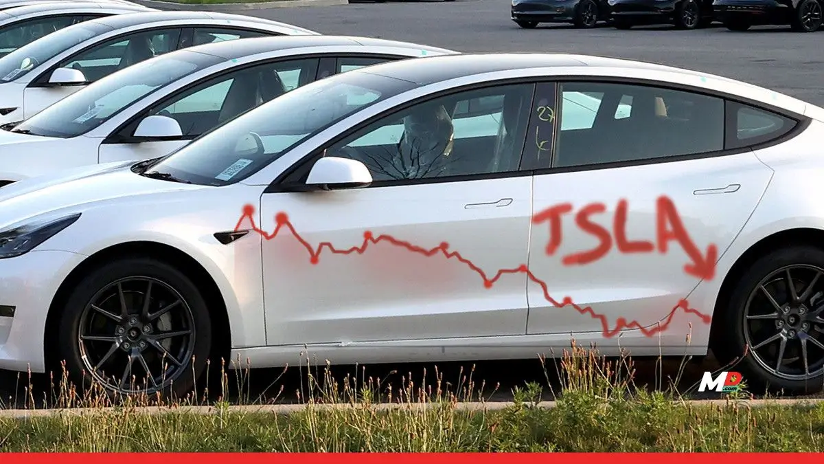 Musk Seeks Free Trade Zone with EU as Tesla Sales Slow Down 