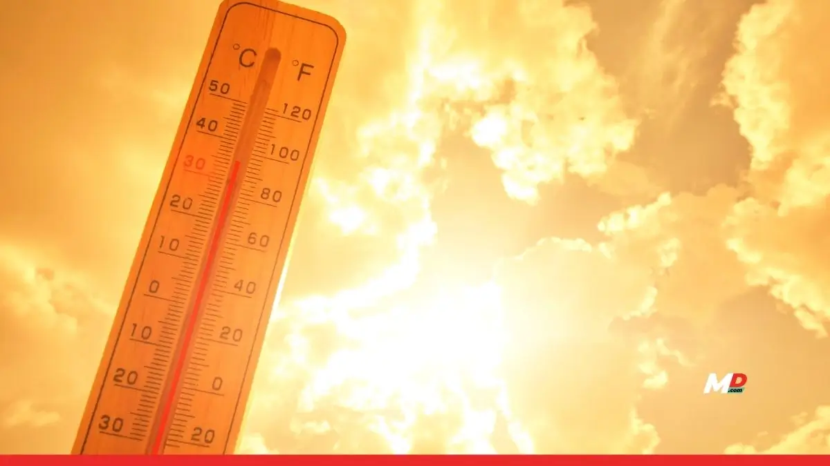 North India Scorched by Early Heatwave as IMD Issues Yellow Alert