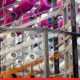 Primus Partners Unveils Strategic Roadmap to Achieve USD 100 Billion in Textile Exports  