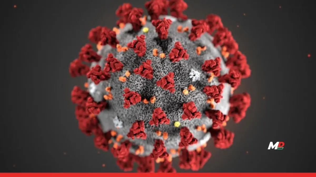COVID-19 Cases Rising Across Asia: All You Need To Know