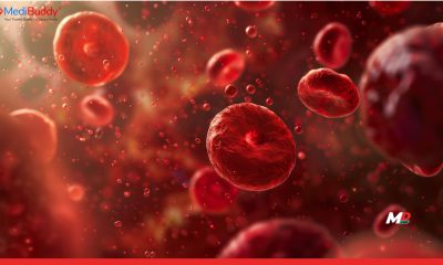 Anaemia Rates in Urban Workforce Fall to 12.14%: MediBuddy Study Highlights Impact of Screenings and Preventive Care