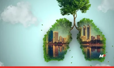 India's Climate Moment: Driving Impact Through Pragmatic Sustainability 