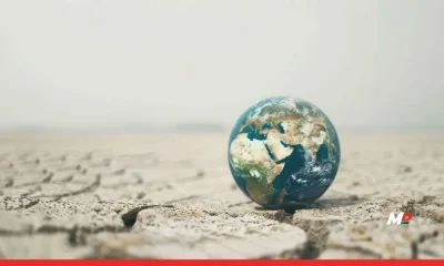 Rethinking Sustainability for India: A World Environment Day Reflection 