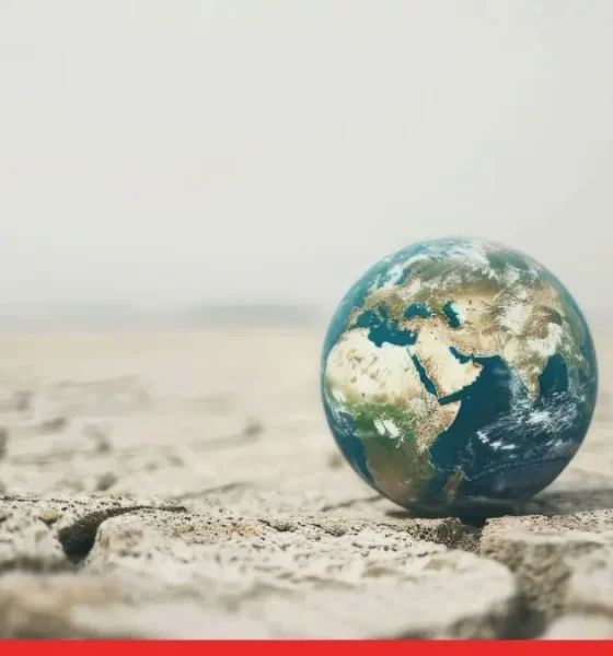 Rethinking Sustainability for India: A World Environment Day Reflection 