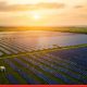 Juniper Commissions 145.99 MWp Chapalgaon Solar Project in Maharashtra