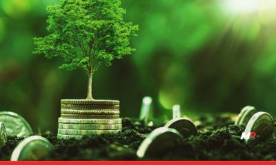 IREDA Successfully Raises ₹2,005.90 Crore via QIP to Boost Green Financing