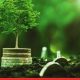 IREDA Successfully Raises ₹2,005.90 Crore via QIP to Boost Green Financing