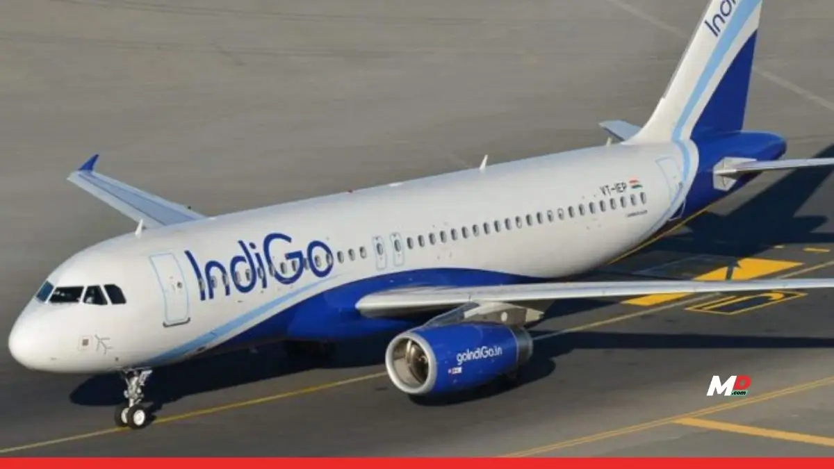 IndiGo Delhi-Bound Flight Makes Emergency Landing in Patna After Bird Hit