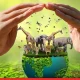 India’s Biodiversity Conservation Efforts Deserve a Bigger Conversation