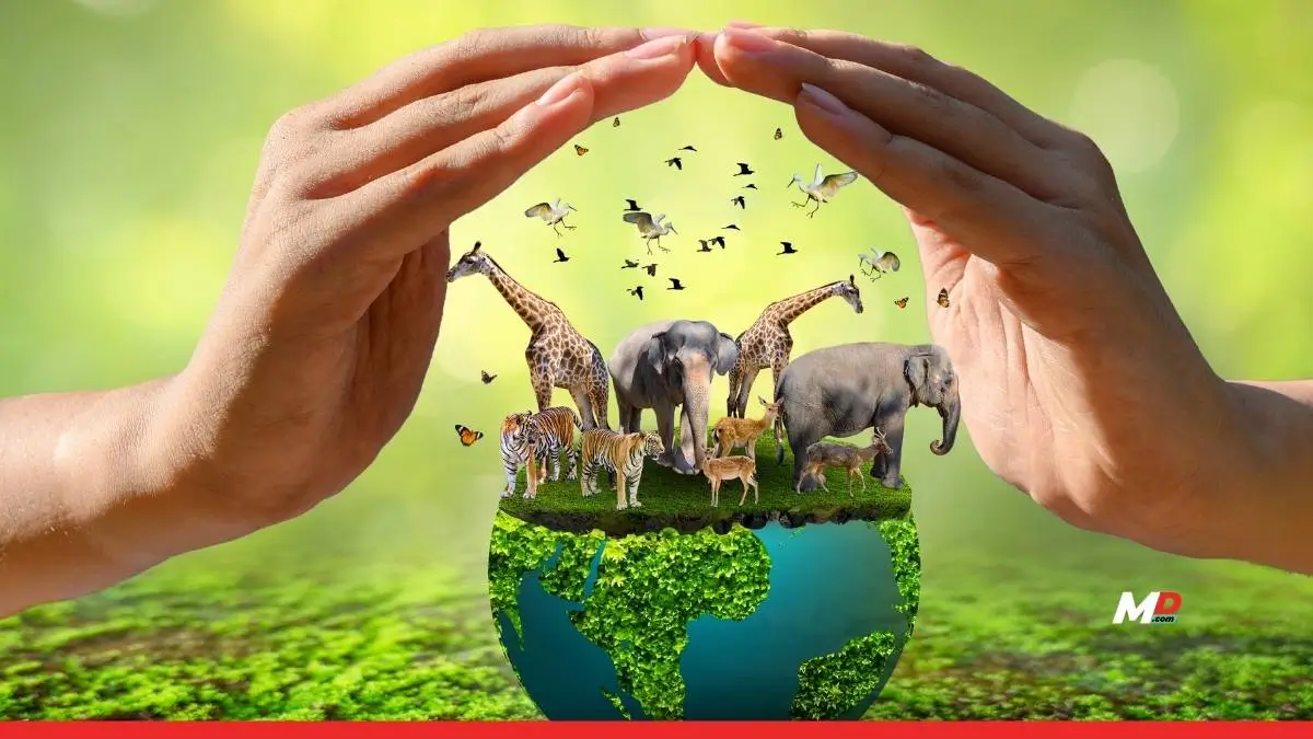 India’s Biodiversity Conservation Efforts Deserve a Bigger Conversation