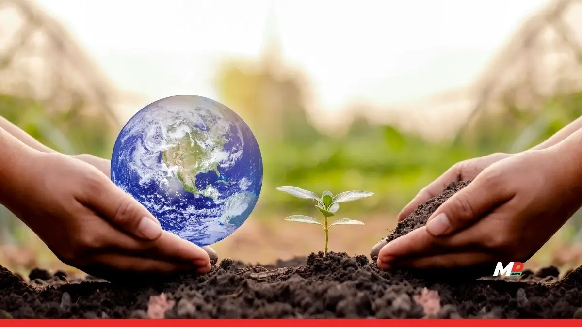 India Needs $1.5 Trillion to Fuel its Climate Action Goals: Deloitte Report 