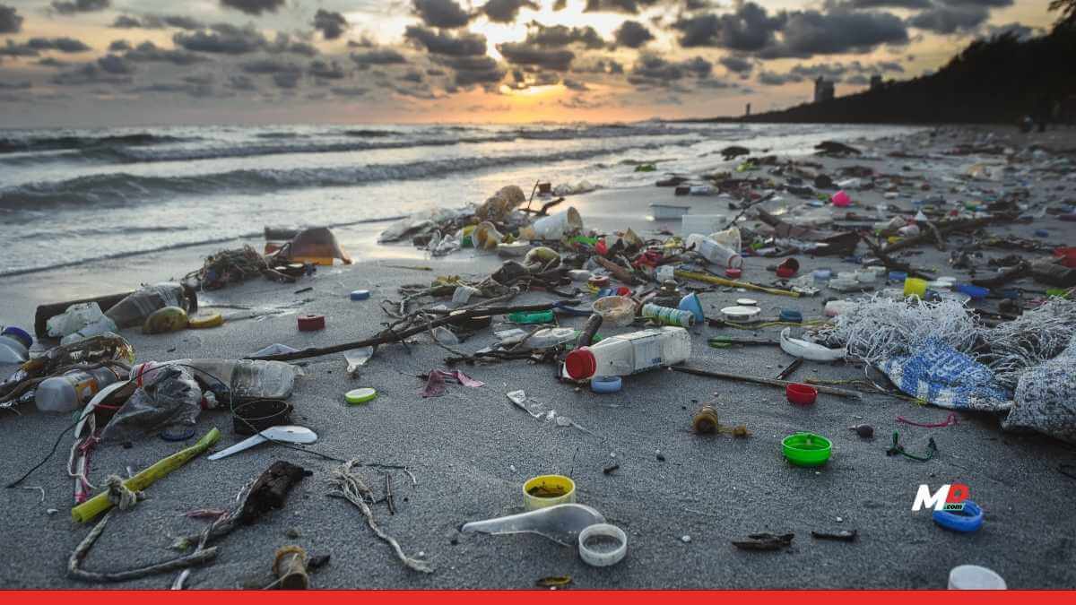 Reimagining Plastic: A Treaty for Humanity’s Tomorrow 