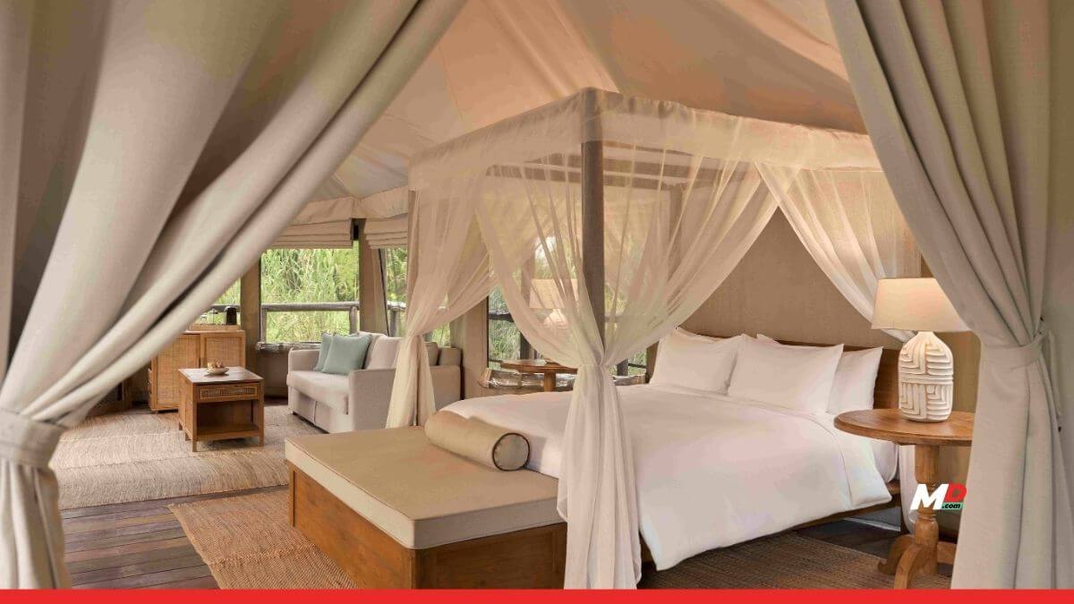 Dusit Expands ‘Tree of Life’ Vision with Chiang Rai Camp