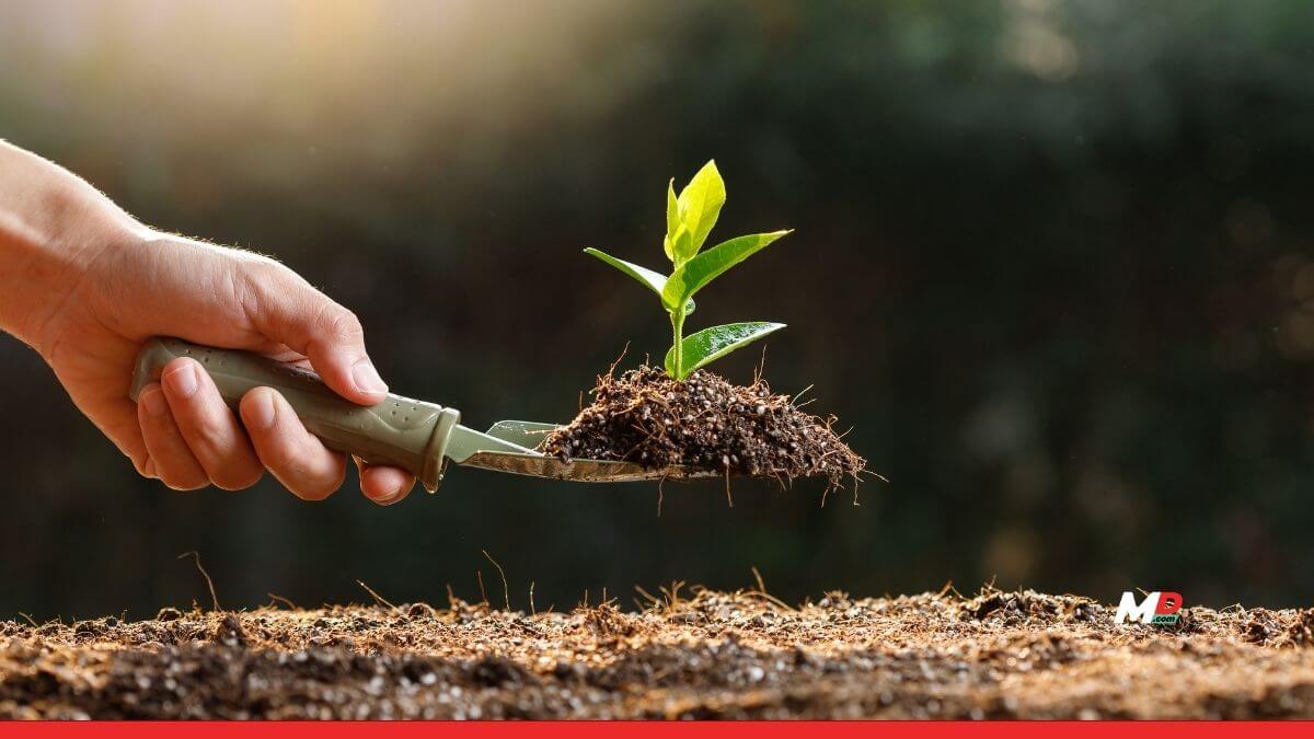 Perfios Partners with SatSure to Revolutionize the Agri-Lending with Earth Intelligence 