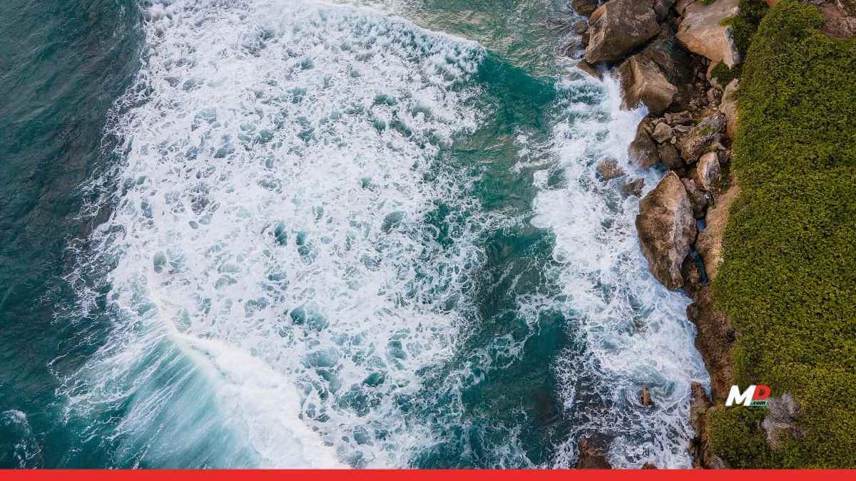 82% of organizations now plan to increase investment in environmental sustainability in the next 12–18 months as a core future-proofing strategy  