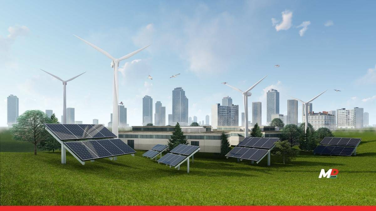 Schneider Backs Carbon Masters in Clean Energy Push