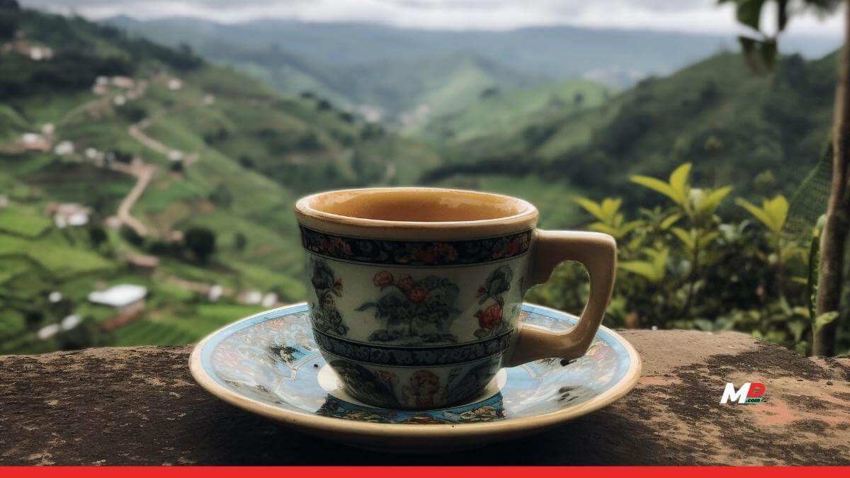 India’s Specialty Coffee Rises with Northeast at the Fore