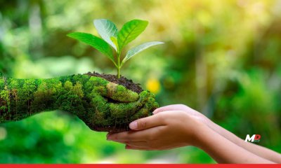 Sustainability: From a Basic Principle of Development to a Moral, Economic, & Industrial Imperative 