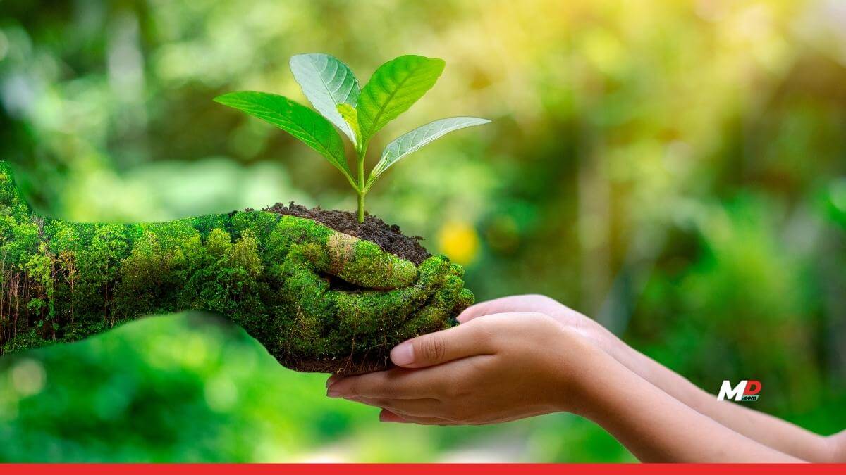 Sustainability: From a Basic Principle of Development to a Moral, Economic, & Industrial Imperative 