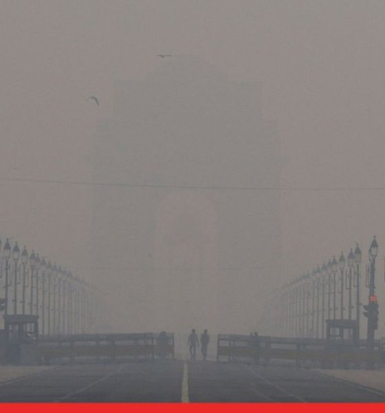 Delhi continues to gasp as toxic air takes hold