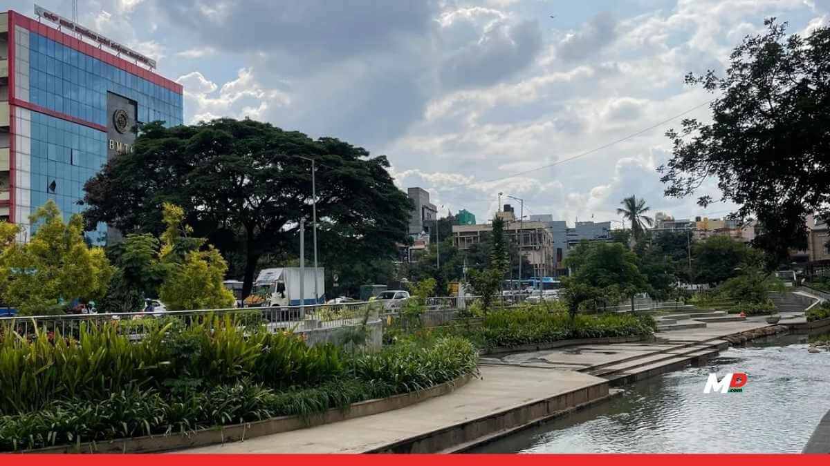 Bengaluru’s K-100 waterway shows how citizens can transform urban decay into a green lifeline 