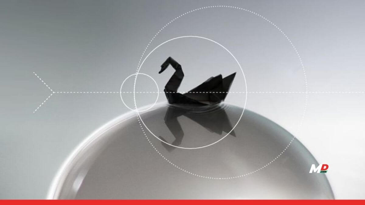 Geopolitical Risks Fuel Fears of Black Swan Events