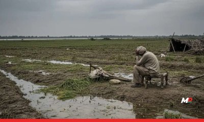 Maharashtra Releases ₹128.65 Cr Rain Relief Fund