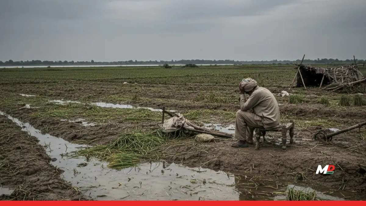 Maharashtra Releases ₹128.65 Cr Rain Relief Fund