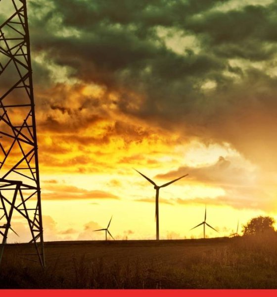 MSEDCL Split into Two Entities; IPO Gets Approval