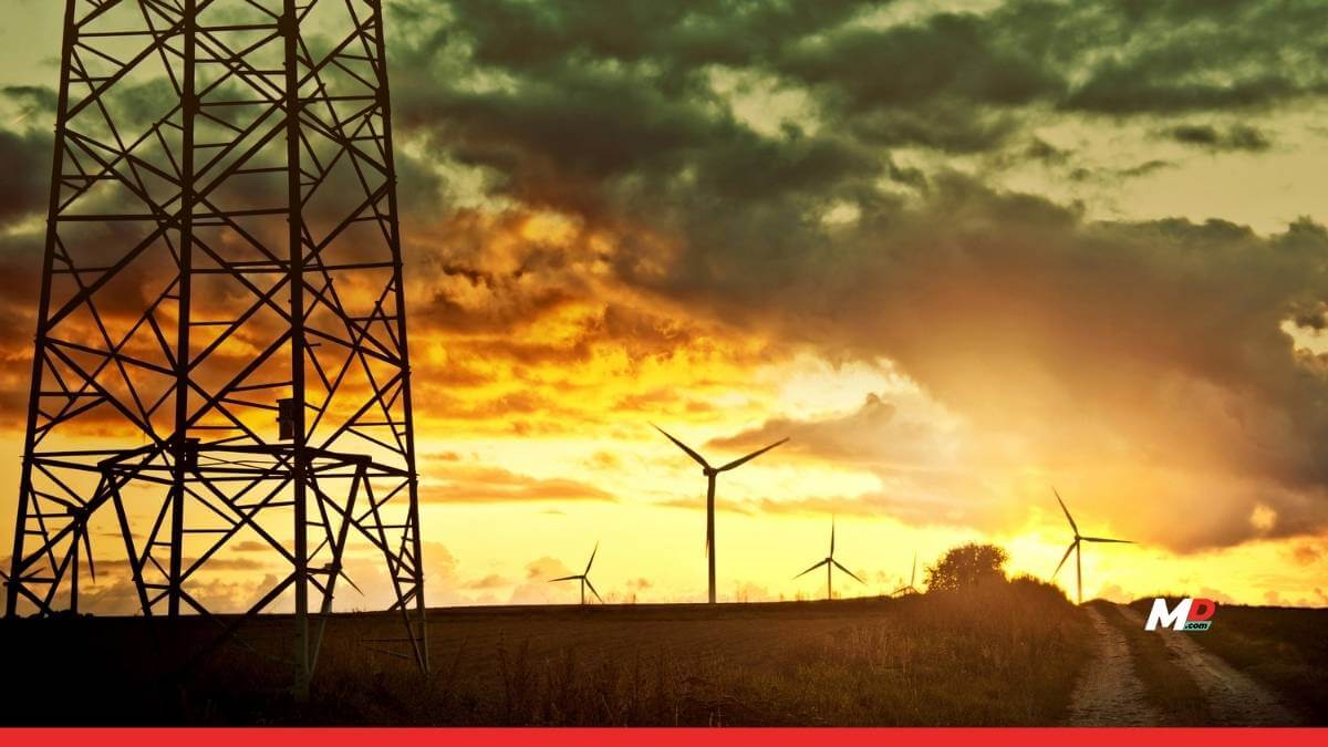 MSEDCL Split into Two Entities; IPO Gets Approval