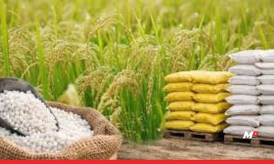 Govt Approves Higher Fertilizer Subsidy for Kharif 2026