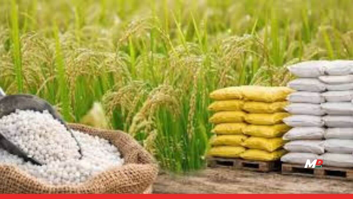 Govt Approves Higher Fertilizer Subsidy for Kharif 2026